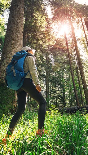 Photo of a person in context: a hiker walking through a forest
