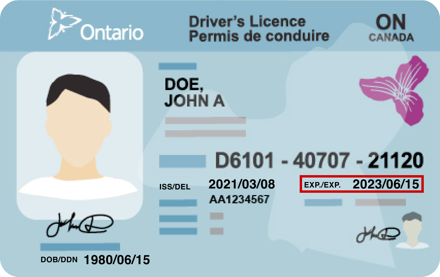 Exemple d’un permis de conduire soulignant le format à suivre pour la date d’expiration.