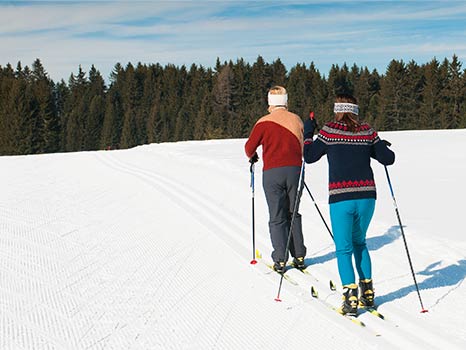alpine skiers on a bright winter day