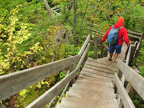 a man hiking in a provincial park